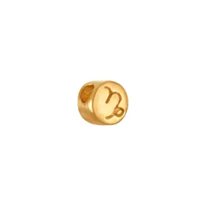 Capricorn Charm
