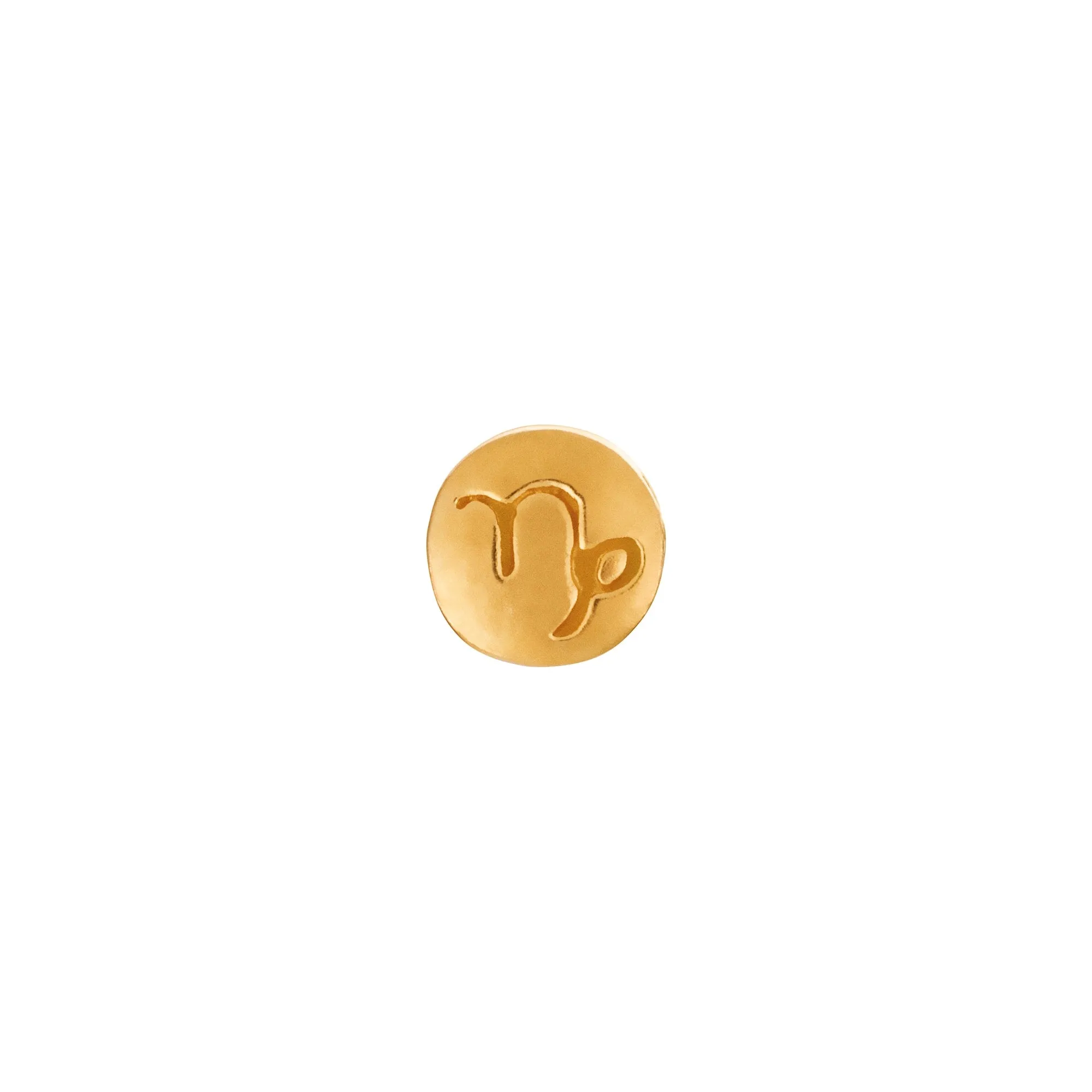 Capricorn Charm