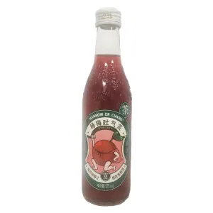 Hankow Er Chang Bayberry Soda 275ml ~ 楊梅吐氣水 275ml