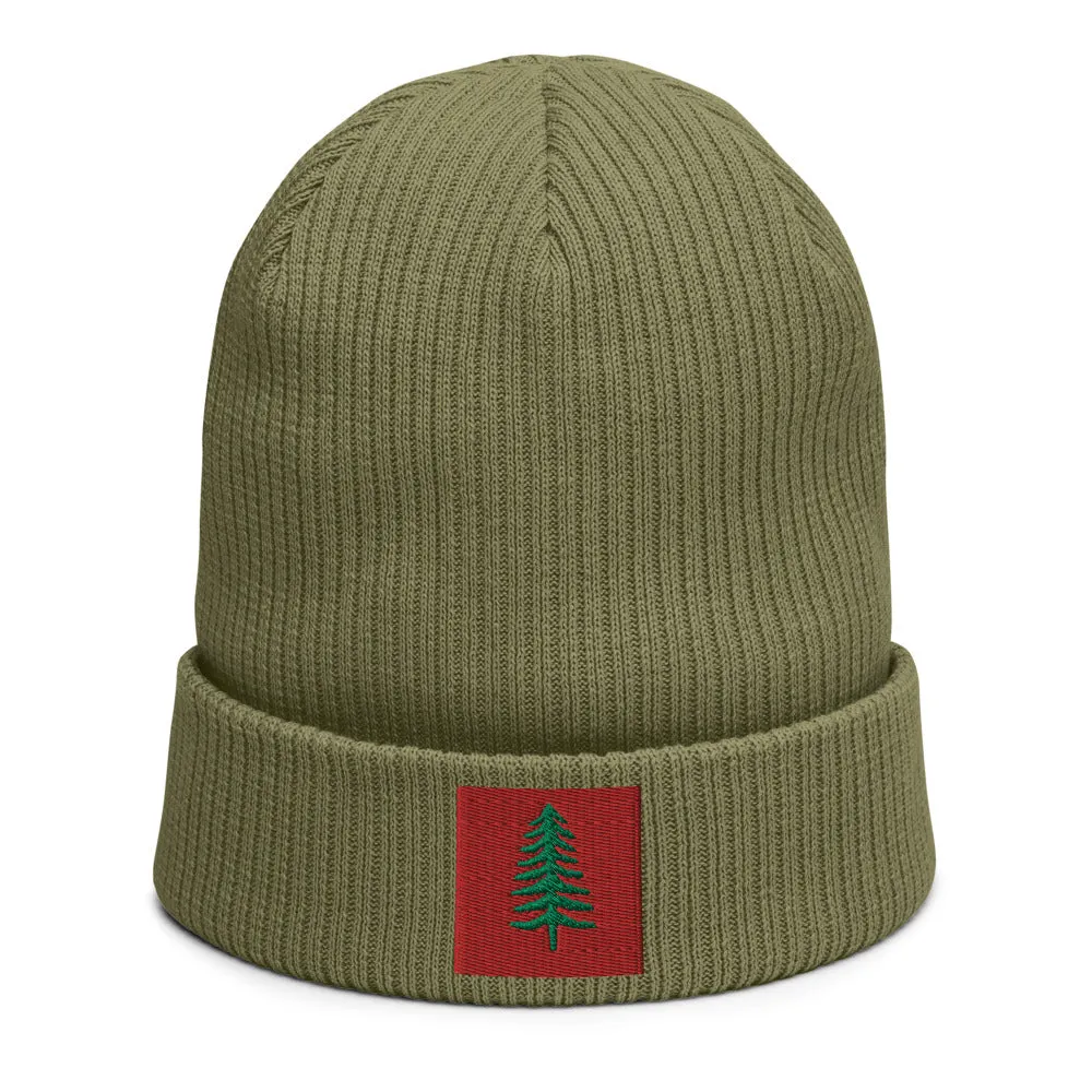 Lone Pine Olive Green Organic Ribbed Beanie