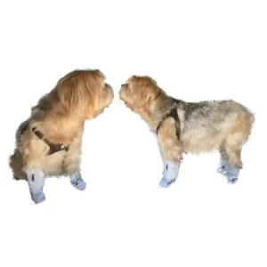 Multi Use Veterinary Dog Booties 8pk