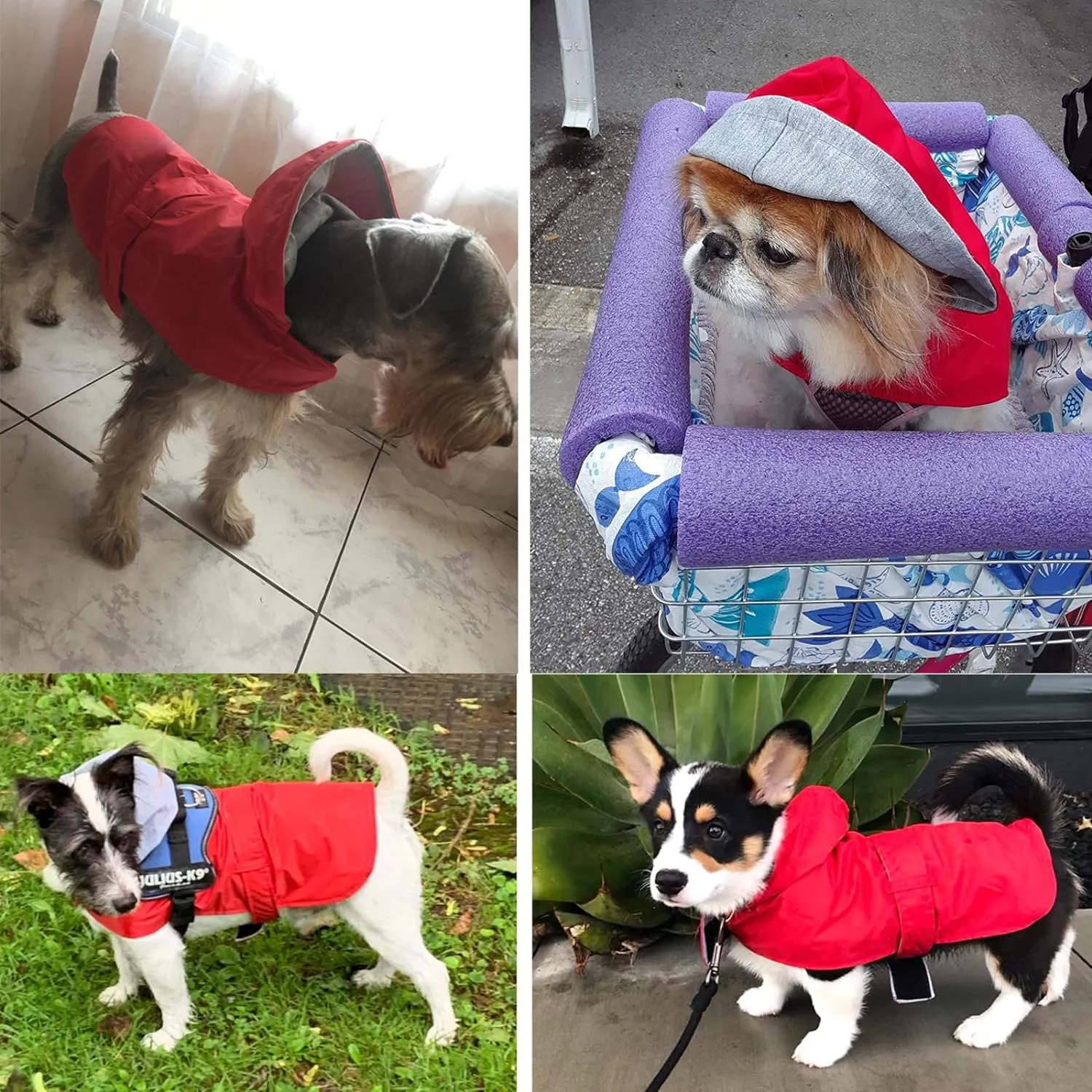 NEW LeerKing Dog Raincoat with Breathable Lining Lightweight Waterproof Dog Jacket Red, Size L