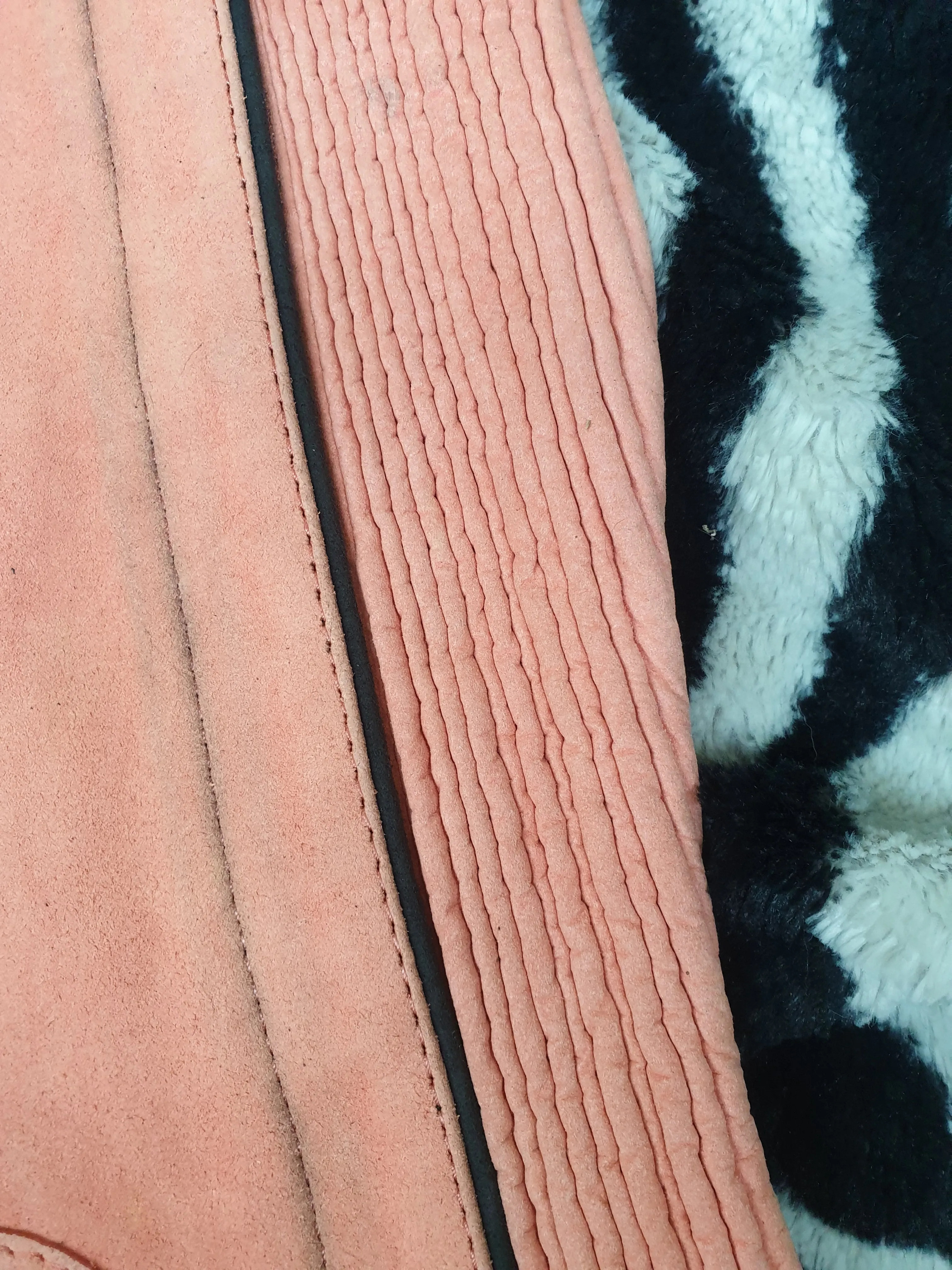 New shires salmon colour chaps in small adults