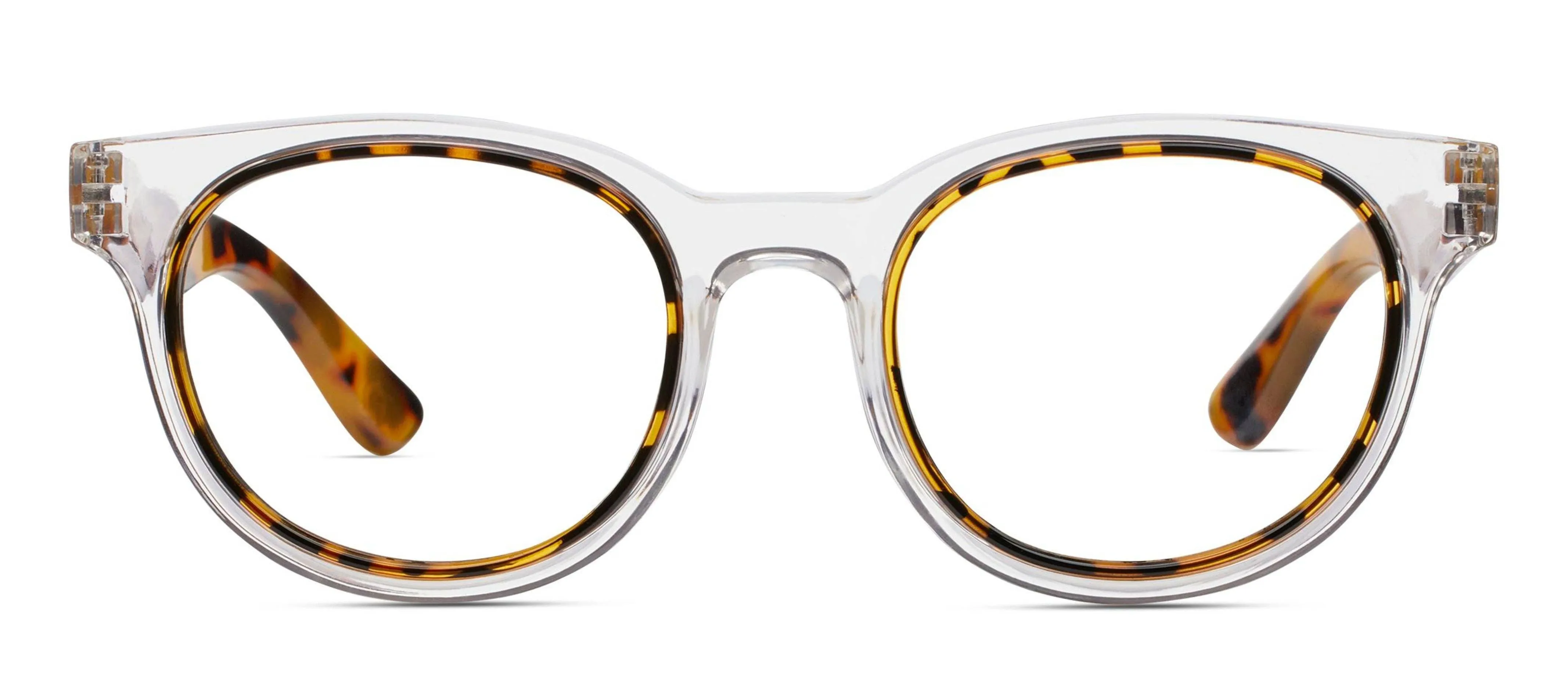 Olympia (Blue Light): Purple/Tokyo Tortoise / Reading / 1.50