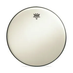 Remo-Pelle Ambassador Suede 16"