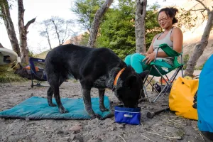 RuffWear Quencher Travel Dog Bowl