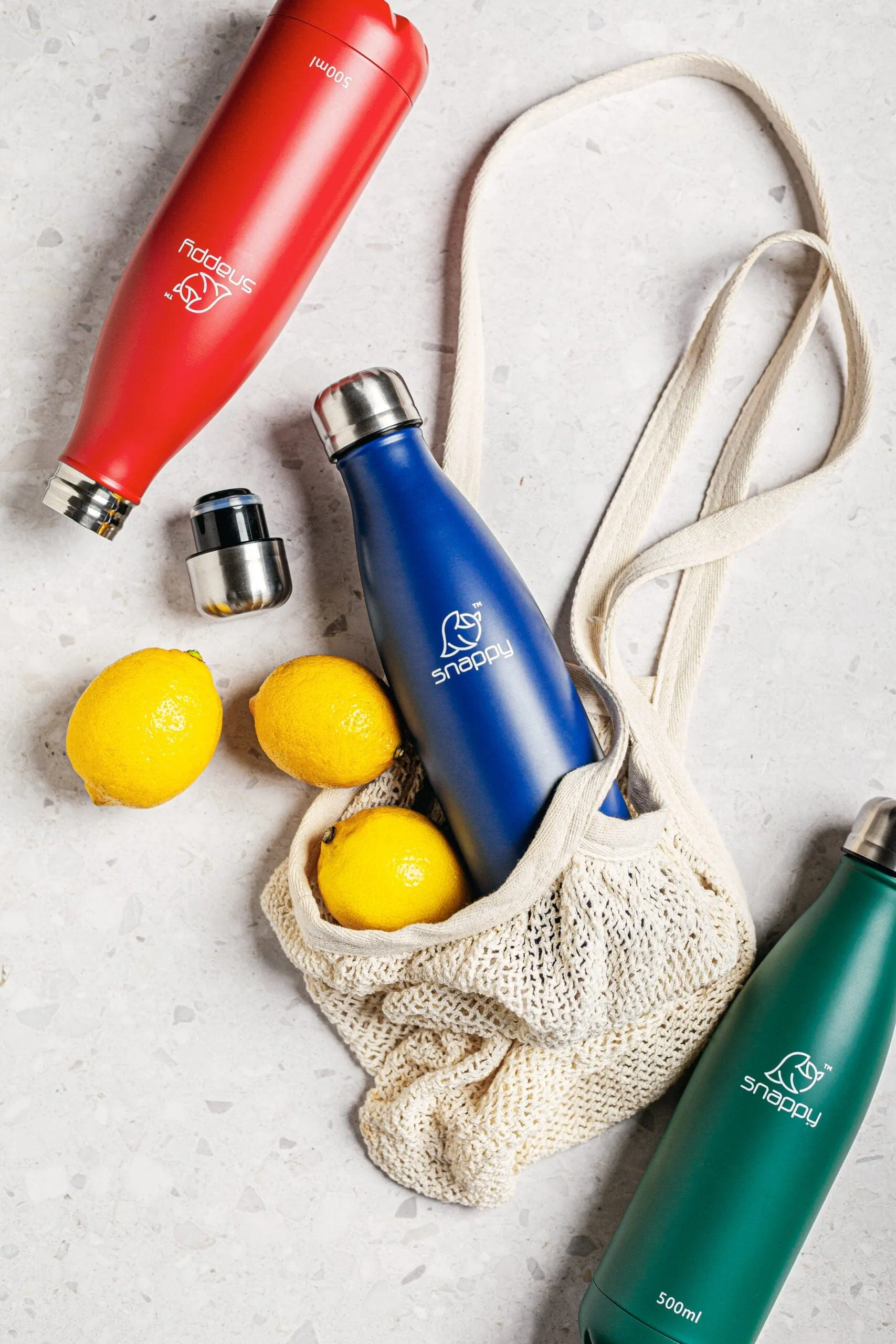 Snappy Stainless Steel Vacuum Bottle 500ml Ocean SN-VAC500O