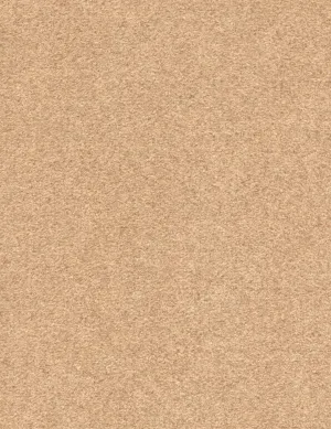 Suede Charade-cork