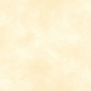 Suede SUE5301-W $9.00 / yard