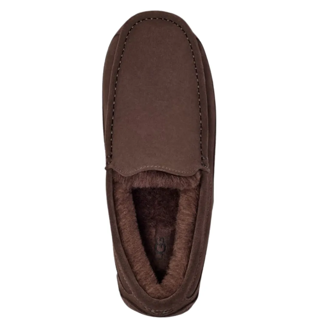 UGG Men's Ascot Slipper Dusted Cocoa
