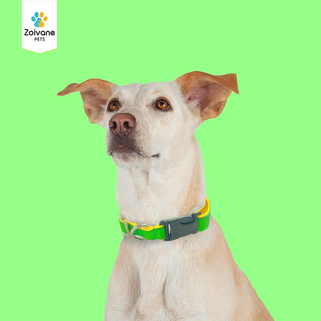 Zoivane Pets Nylon Padded Collar for Dogs | Size S| Strong, Comfy, and Built to Last! - Color may vary